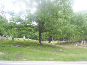 Large Tree in Graveyard